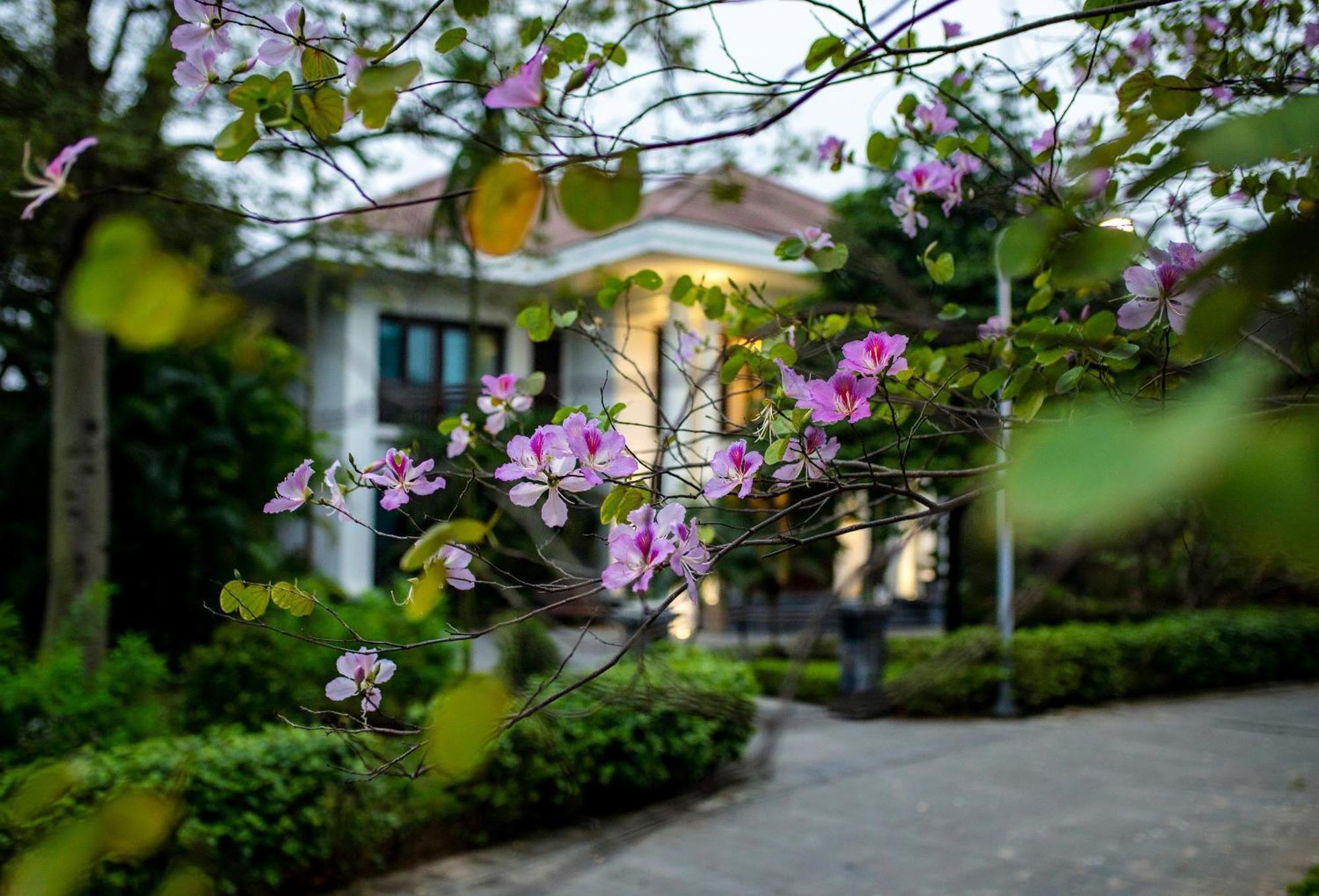 Ncc Garden Villas - Ncc Hotel Hanói Exterior foto